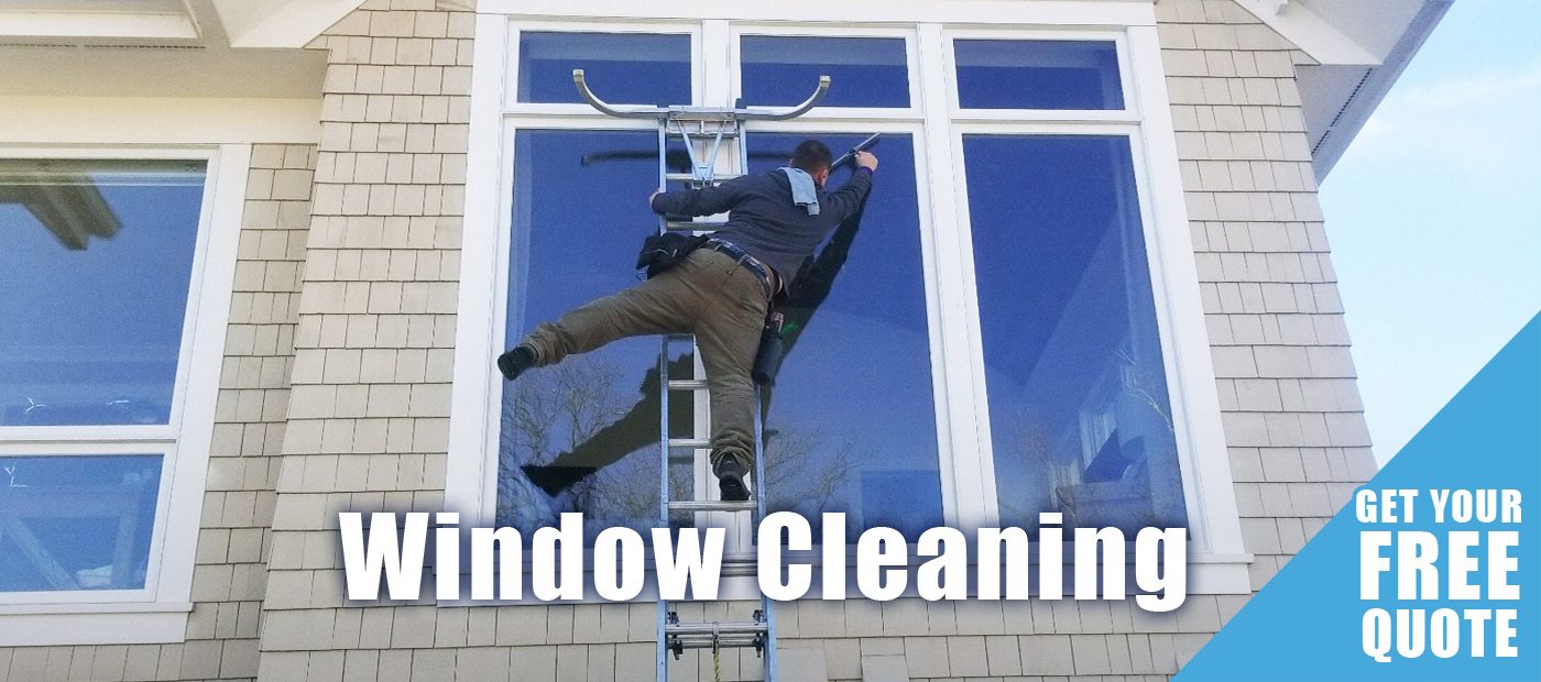 window cleaning services by waynes home services